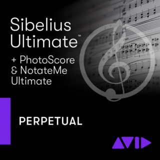 sibelius ultimate rehearsal marks not appearing