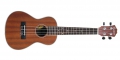 Ukulele Everdeen Concert